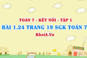 Bài 1.24 trang 19 SGK Toán 7 tập 1 Kết nối tri thức